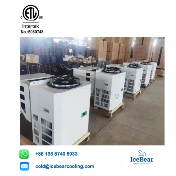 Icebear R404a 1hp, 1HP/2HP, Ceiling, Monoblock - view 5