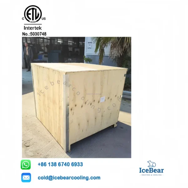 Icebear R404a 1hp, 1HP/2HP, Ceiling, Monoblock - view 6