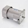 Induction Micro Gear Motor, 90W/120W, 110V/220V/380V