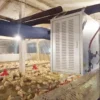 Industrial Blower, 65kw, 75kw, 220V - view 5