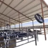 Industrial Circulation Axial Fan, Brushless, Aluminum, IP55 - view 4