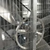 Industrial Exhaust Fan, 50", 380/220v, Steel - view 4