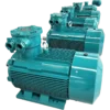 Industrial Explosion Proof Motor, Asynchronous Motor, YBP