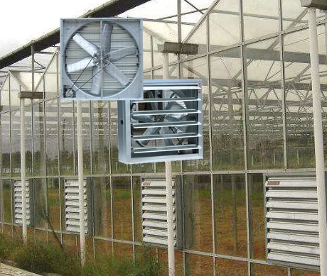 Industrial Metal Exhaust Fan, 800mm, 500mm, Cast