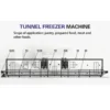 Industrial Quick Freezer, IQF, 380V, 20kw - view 5