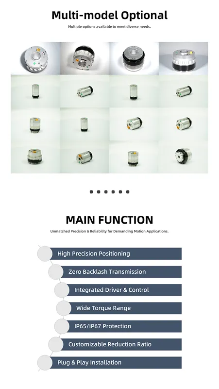 Industrial Robot Joint Motor, BLDC, Waterproof, IP67 - view 5