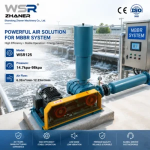 Industrial Roots Air Blower, 220, Electric