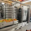 Industrial Spiral Tunnel Freezer, IQF, 220 V, R-404A - view 2