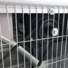 Industrial Wall Exhaust Fan, 220-240V, Electric - view 2