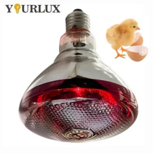 Infrared Heater, R125, 175w, 250W, 275w