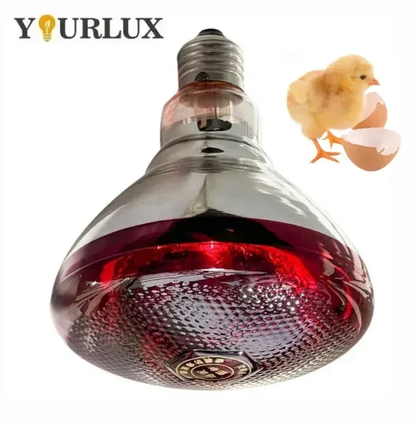 Infrared Heater, R125, 175w, 250W, 275w