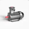 Ip55 Protection Induction Motor, YBX4-355L1-8-185KW, 380V, IE4 - view 2