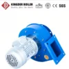 Ip55 Sealed Moisture-proof Boiler, Explosion-Proof, 220 V
