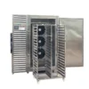 Iqf Machine Priceiqf Freezer, 220V, 40KG