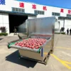 Iqf Tunnel Freezer, 220v/380v, 100-1000kg