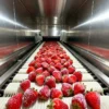 Iqf Tunnel Freezer, 220v/380v, 100-1000kg - view 2
