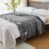 Large Electric Thermal Blanket, 115, Flannel Fleece - view 6