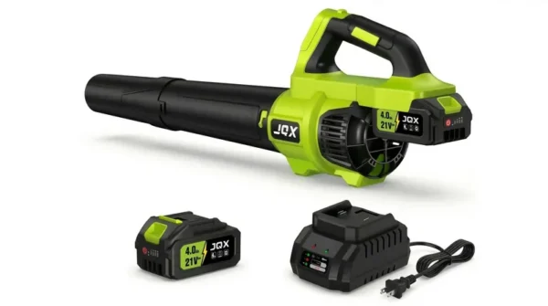Leaf Blower, 21V, Cordless - view 2