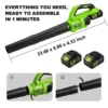 Leaf Blower, Cordless, DIY, 21V, 2.5Ah - view 4