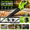 Leaf Blower, Cordless, DIY, 21V, 2.5Ah - view 5