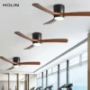 Light with Fan, Ceiling, WZ00004-36, 1-Year