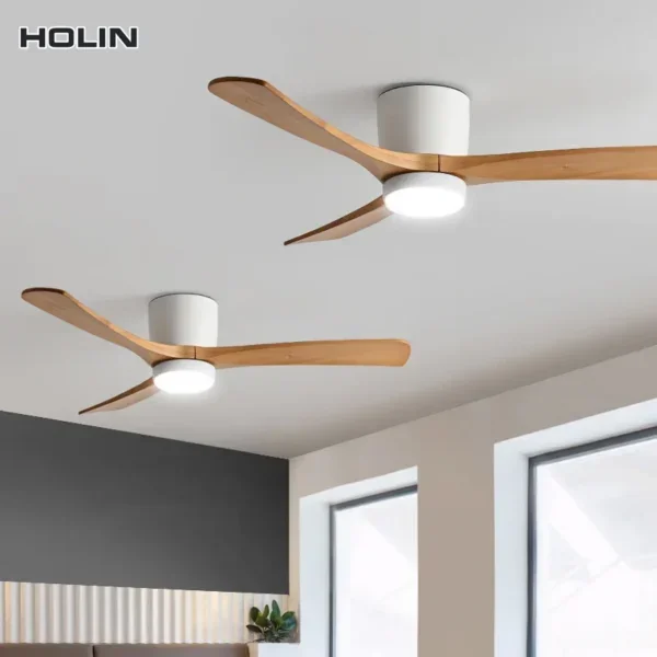 Light with Fan, Ceiling, WZ00004-36, 1-Year - view 3