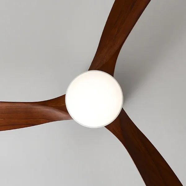 Light with Fan, Ceiling, WZ00004-36, 1-Year - view 6