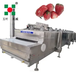 Liquid Nitrogen Tunnel Freezer, 196, Customizable
