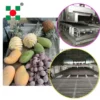 Liquid Nitrogen Tunnel Freezer, 196, Customizable - view 2