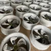 Metal Industrial Ventilation Fan, 400, 500, 600, Axial - view 4