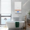 Mini Gas Boiler, Wall, Steel and Plastic - view 5
