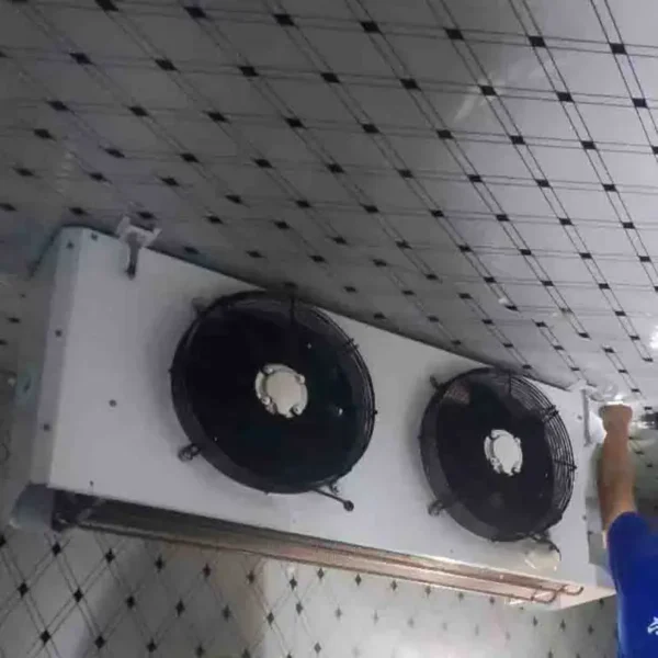 Mount Cold Storage Evaporator, DLS-20, Ceiling - view 3