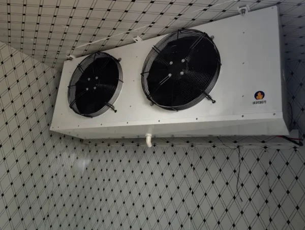 Mount Cold Storage Evaporator, DLS-20, Ceiling - view 4