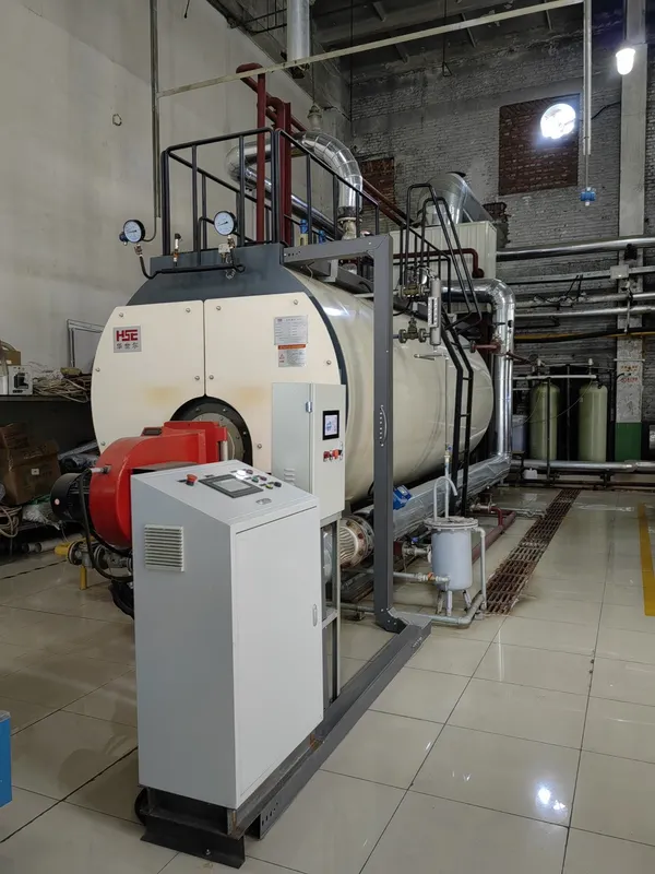 Oil Gas Fired Boiler, LPG, Natural Circulation, 1 Year - view 5