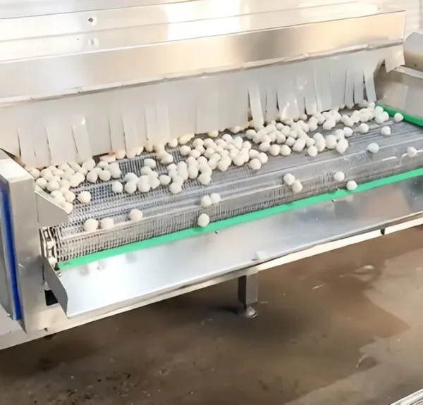 Operation Iqf Tunnel Freezer, 220 V, SUS304 - view 3