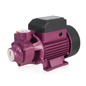Peripheral Electric Pump, ZHELI, Qb60, 0.5hp, Qb70