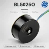 Permanent Magnet Bldc Motor, BL5025O, 50mm, IP55