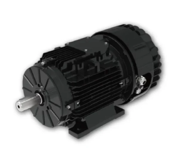 Permanent Magnet Synchronous Motor, T-ECI, IE5, 1500rpm - view 2