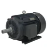 Phase Induction Asynchronous Motor, Rare earth