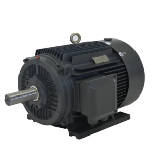 Phase Induction Asynchronous Motor, Rare earth