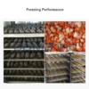 Pizza Samosa Fish Freezer, 220, 3.5 KW - view 2