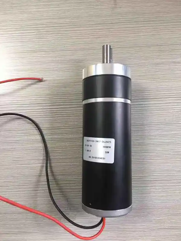 Planetary Gear Motor, 24V, 300RPM, 50W - view 2