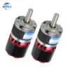 Planetary Gear Motor, 42GP-4250, Brushless, 24V