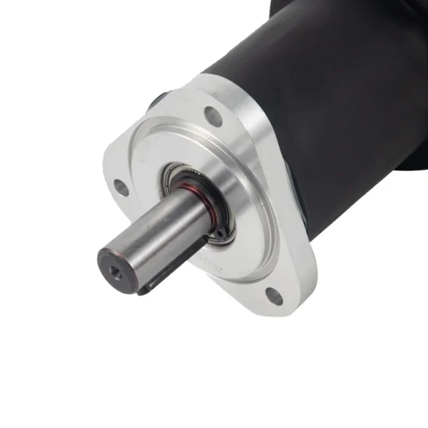 Planetary Gear Motor, DELIXI, 48V, Brushless, 12V/24V - view 2
