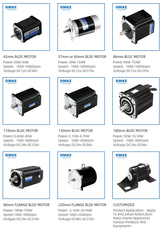Planetary Gear Motor, DMKE, 12v, 24v, 36v - view 5