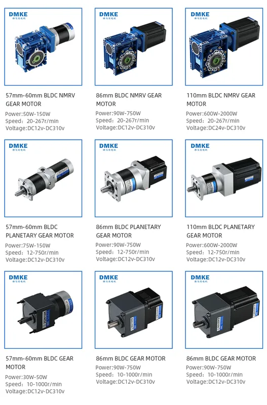Planetary Gear Motor, DMKE, 12v, 24v, 36v - view 6