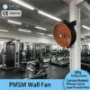 Plastic Wall Mounted Fan, 110V, 220V, 380V, BLDC