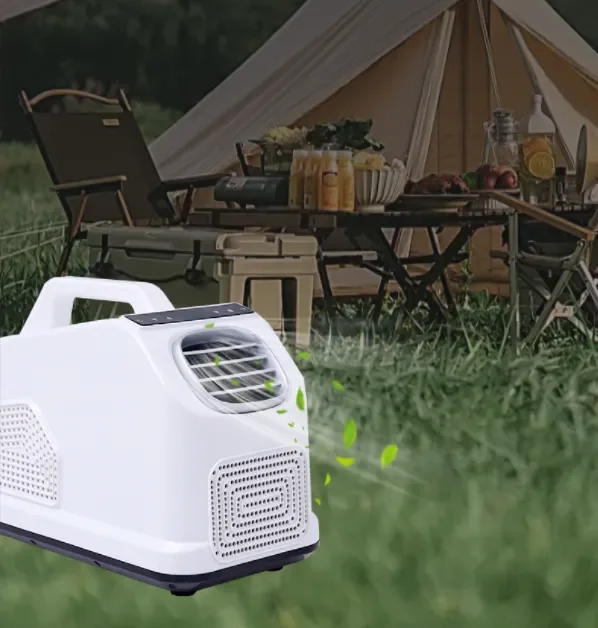 Portable Air Conditioner, 24V/110V/220V, 800W - view 3