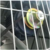 Poultry Exhaust Ventilation Fan, 50%, 380V, 22000-44800CBM - view 6