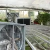 Poultry Exhaust Ventilation Fan, Stainless, Steel, Axial, Wall - view 6